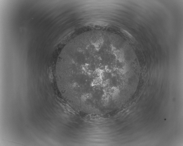 X0000072510774200607290131