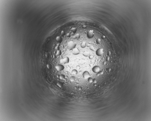 X0000072510775200607290131