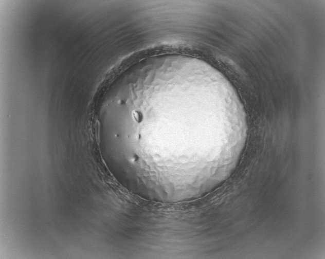 X0000072510776200607290131