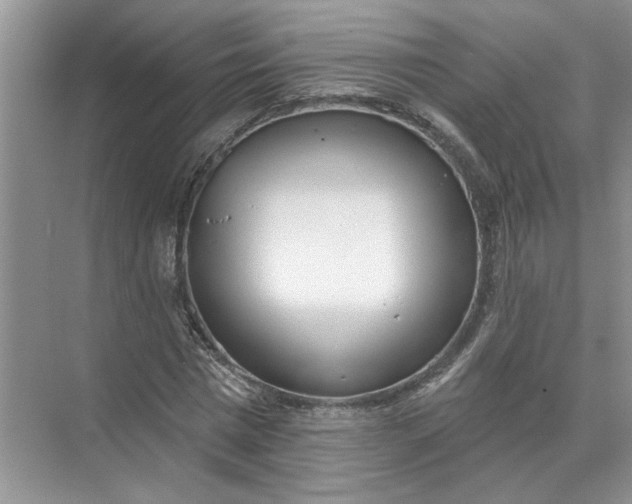 X0000072510777200607290131