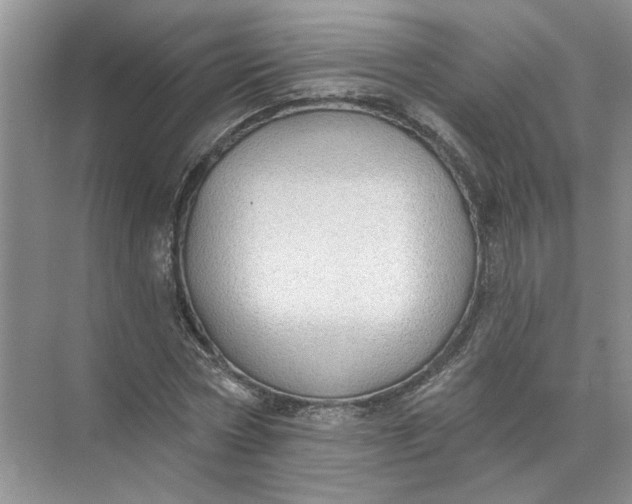 X0000072510778200607290131