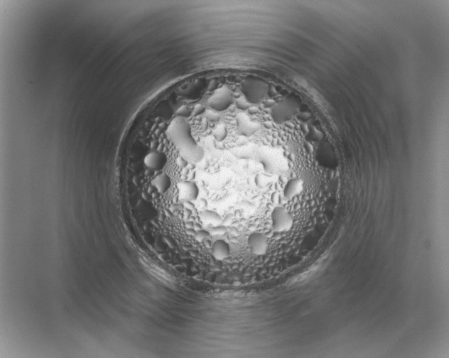 X0000072510779200607290131