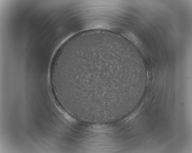 X0000072510780200607290131