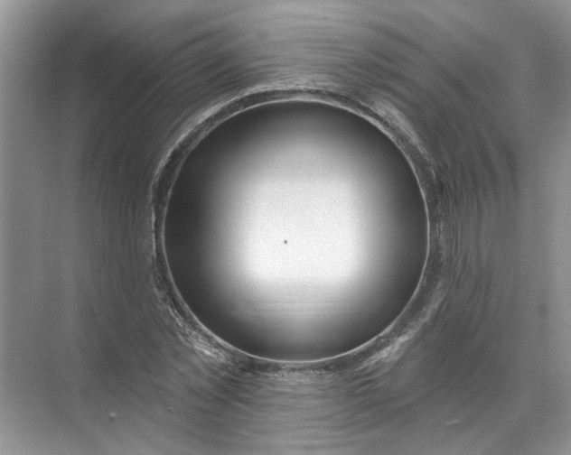 X0000072510781200607290131