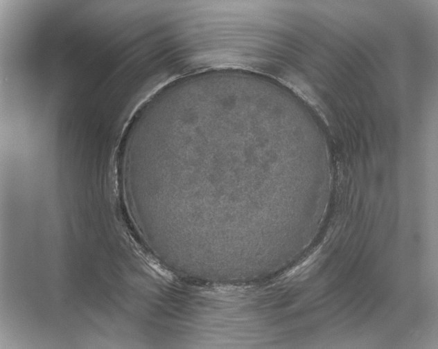 X0000072510782200607290131