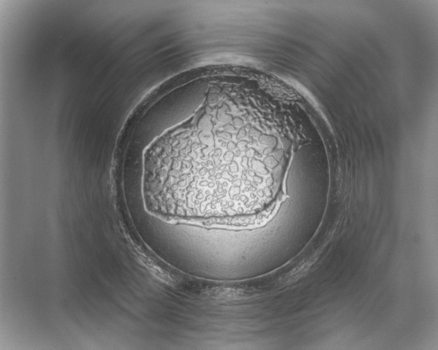 X0000072510783200607290131