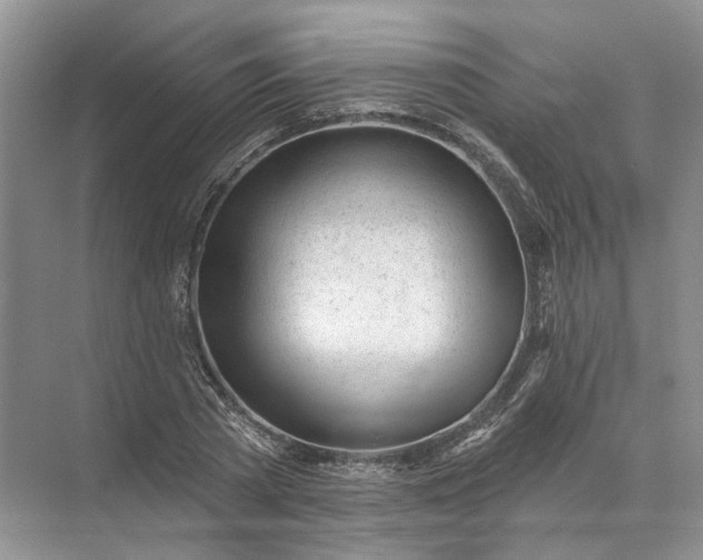 X0000072510785200607290131