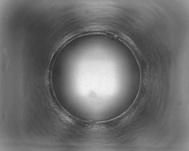 X0000072510786200607290131