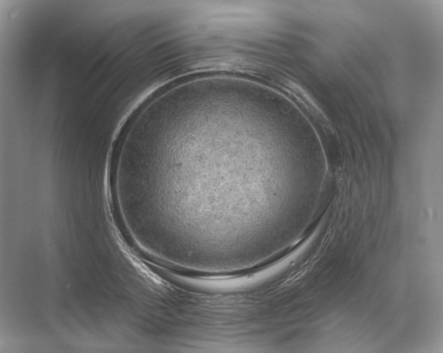 X0000072510788200607290131