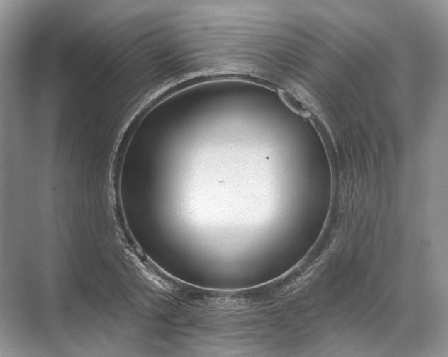 X0000072510789200607290131