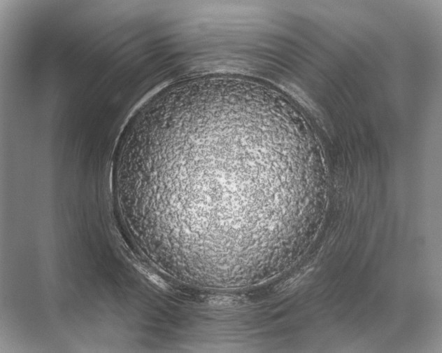 X0000072510790200607290131