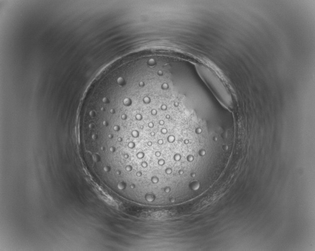 X0000072510791200607290131