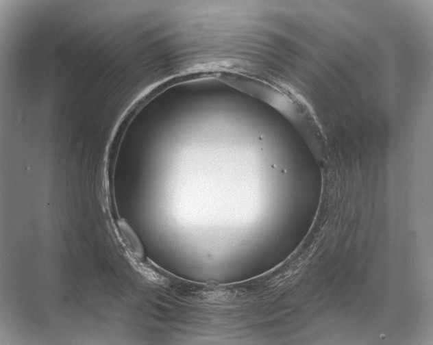 X0000072510792200607290131