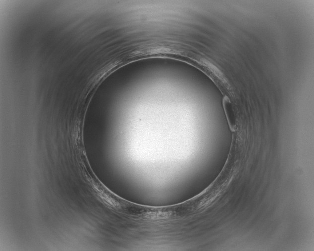 X0000072510793200607290131