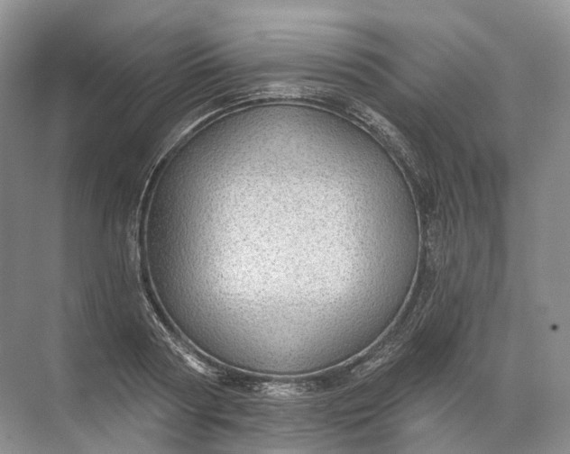 X0000072510794200607290131