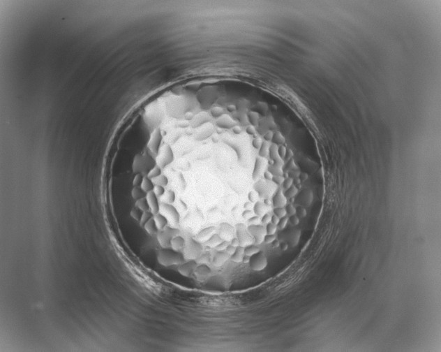 X0000072510795200607290131