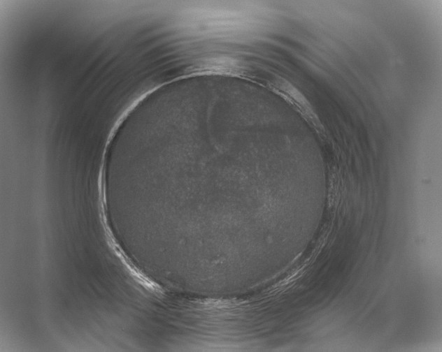 X0000072510796200607290131