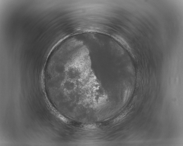 X0000072510798200607290131