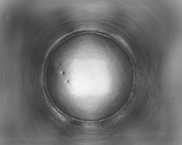 X0000072510799200607290131