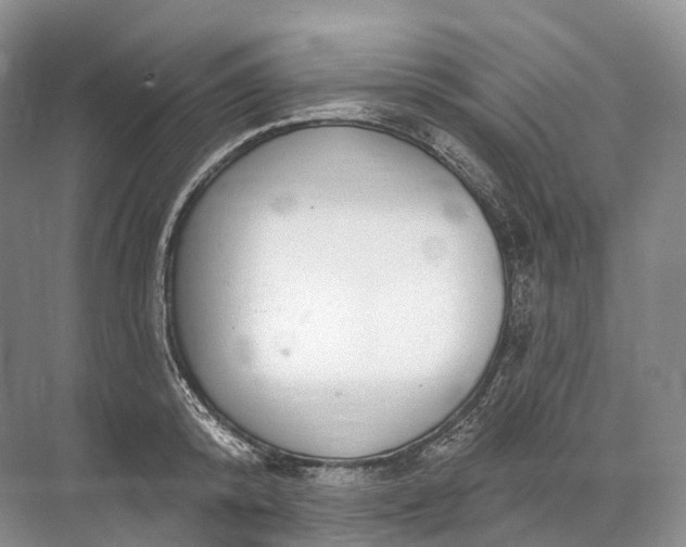 X0000072510800200607290131