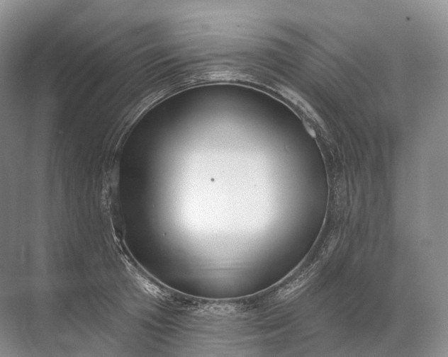 X0000072510801200607290131