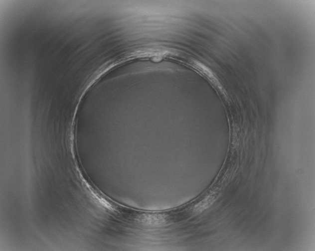 X0000072510802200607290131