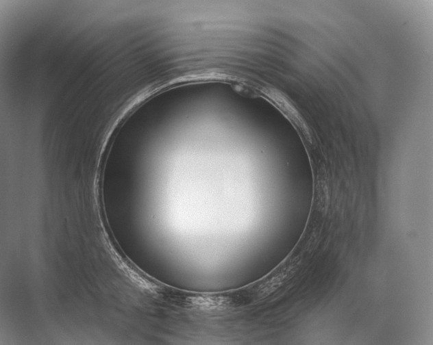 X0000072510805200607290131