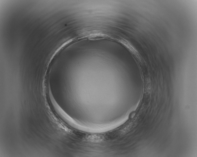 X0000072510806200607290131