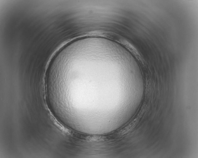 X0000072510808200607290131