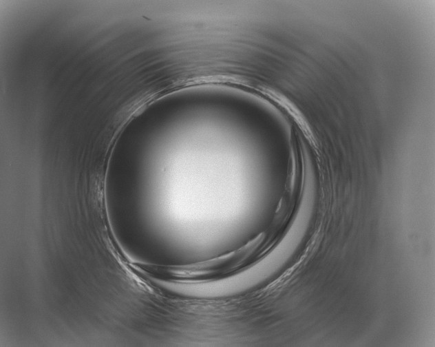 X0000072510809200607290131