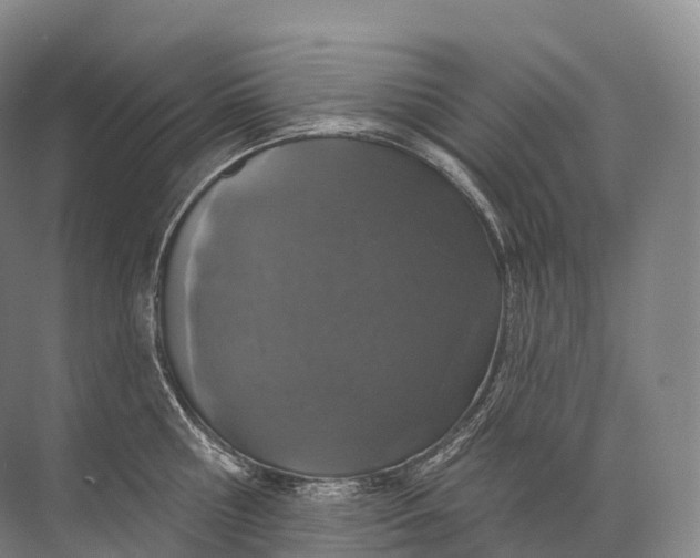 X0000072510810200607290131