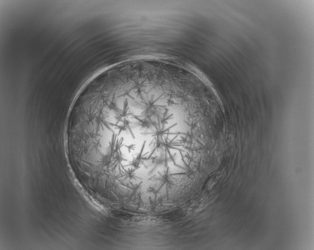 X0000072510811200607290131