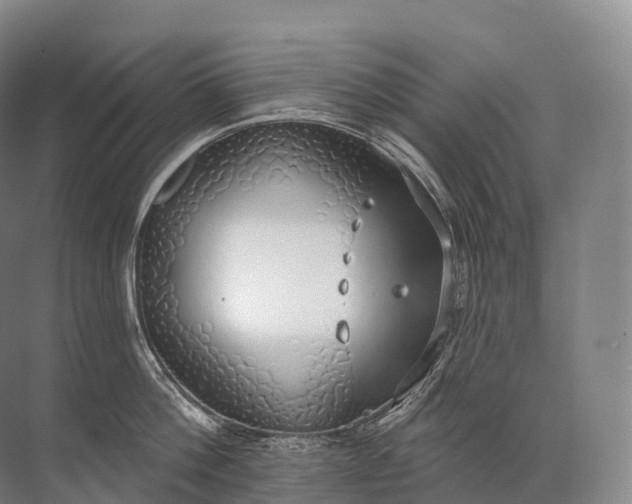 X0000072510812200607290131