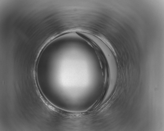 X0000072510813200607290131