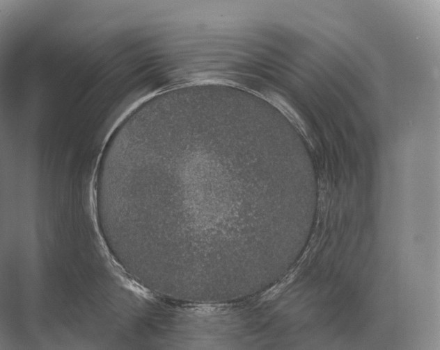 X0000072510814200607290131