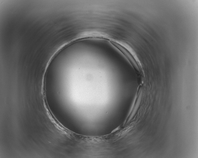 X0000072510815200607290131