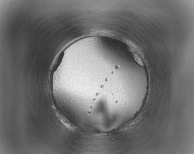 X0000072510816200607290131