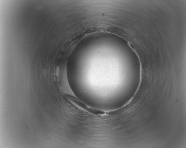 X0000072510818200607290130