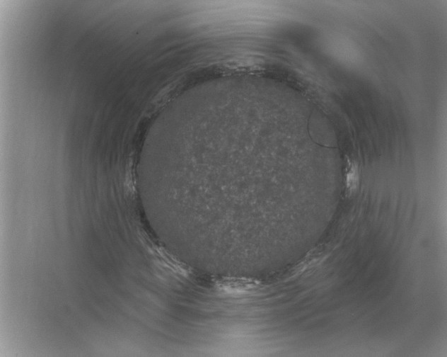 X0000072510819200607290130