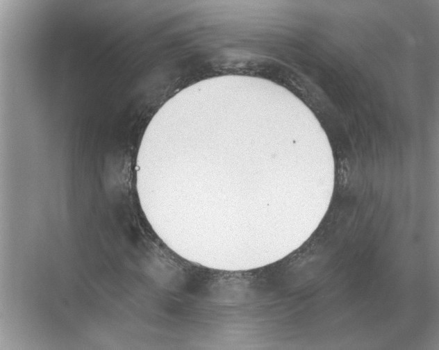 X0000072510820200607290130