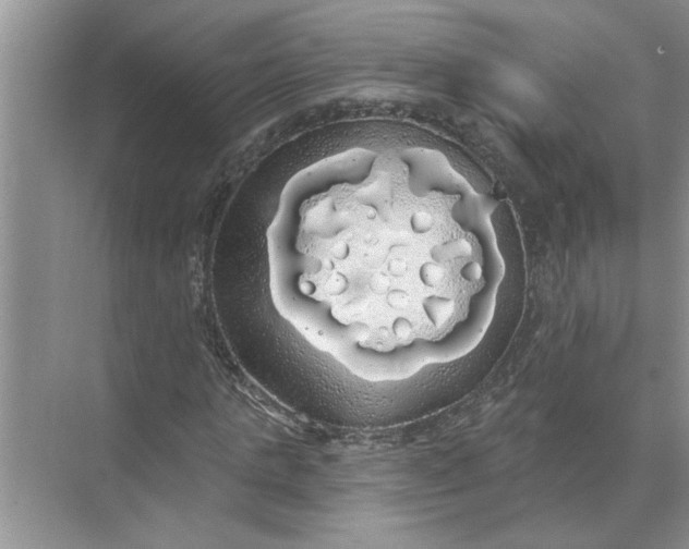 X0000072510821200607290130