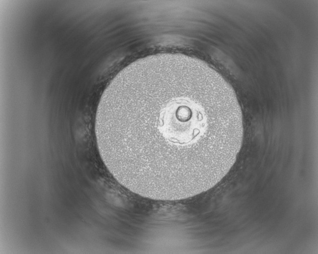 X0000072510824200607290130