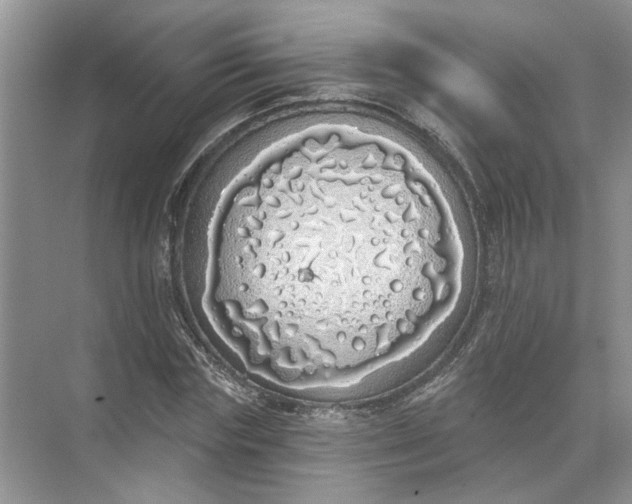 X0000072510827200607290130