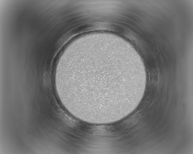 X0000072510828200607290130