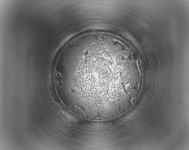 X0000072510829200607290130