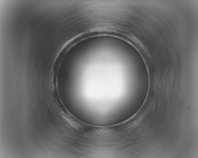 X0000072510830200607290130