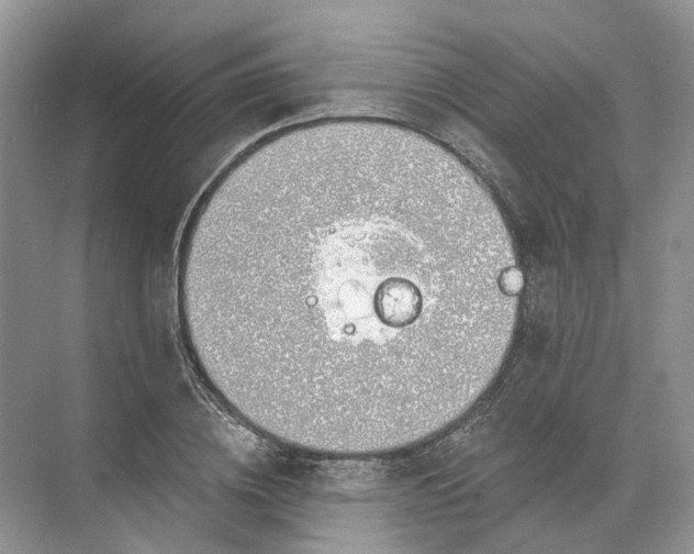 X0000072510836200607290130