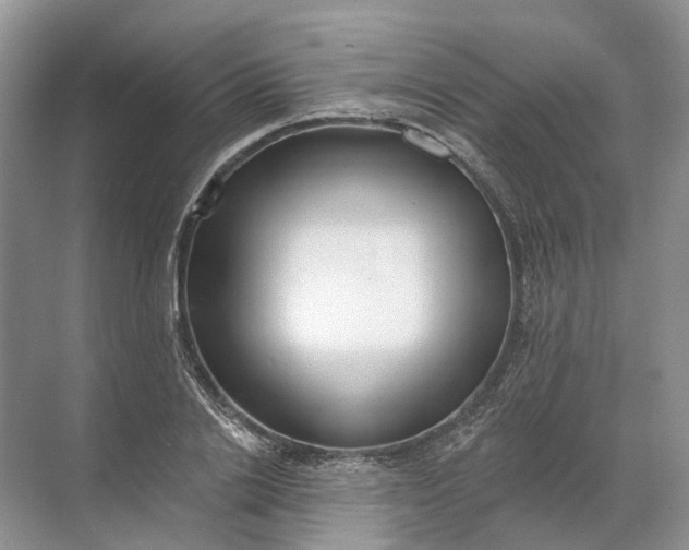 X0000072510838200607290130