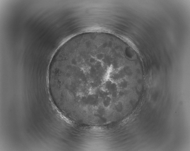 X0000072510839200607290130