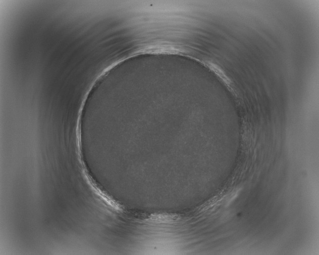 X0000072510840200607290130